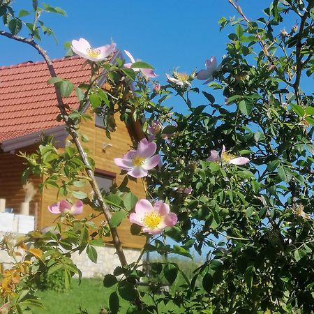 Tarin Zov Apartment Kaludjerske Bare Luaran gambar