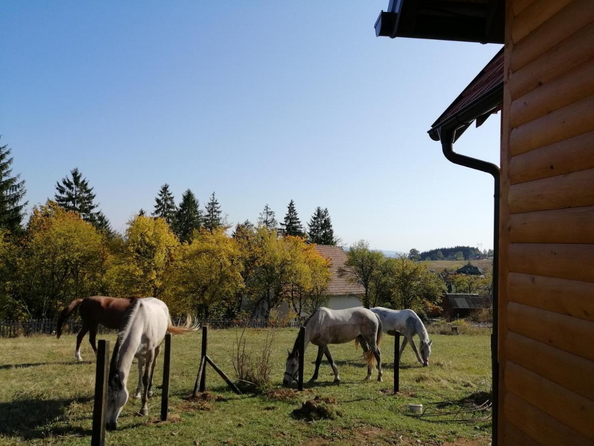 Tarin Zov Apartment Kaludjerske Bare Luaran gambar